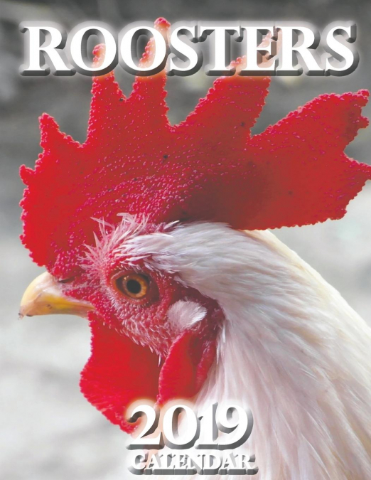 Roosters 2019 Calendar