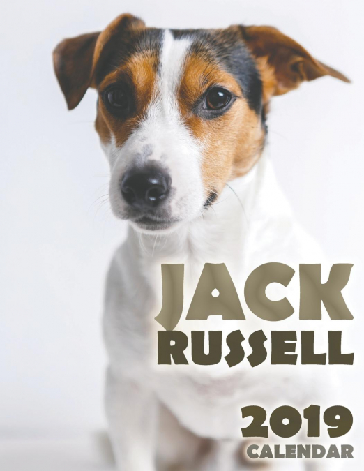 Jack Russell 2019 Calendar