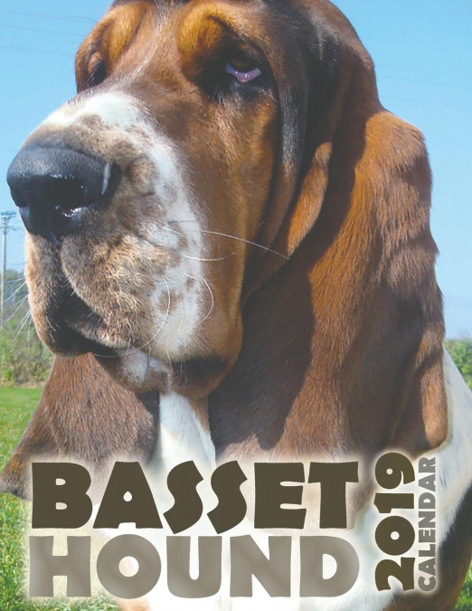 Basset Hound 2019 Calendar