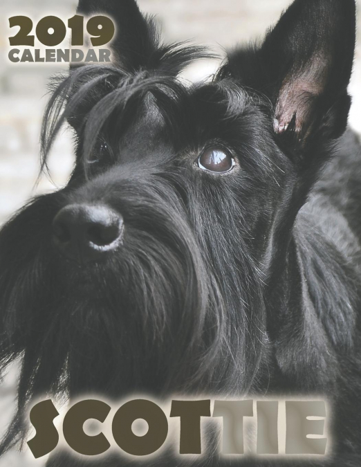 Scottie 2019 Calendar