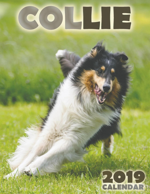 Collie 2019 Calendar