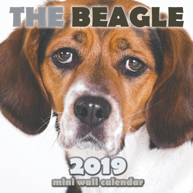 The Beagle 2019 Mini Wall Calendar
