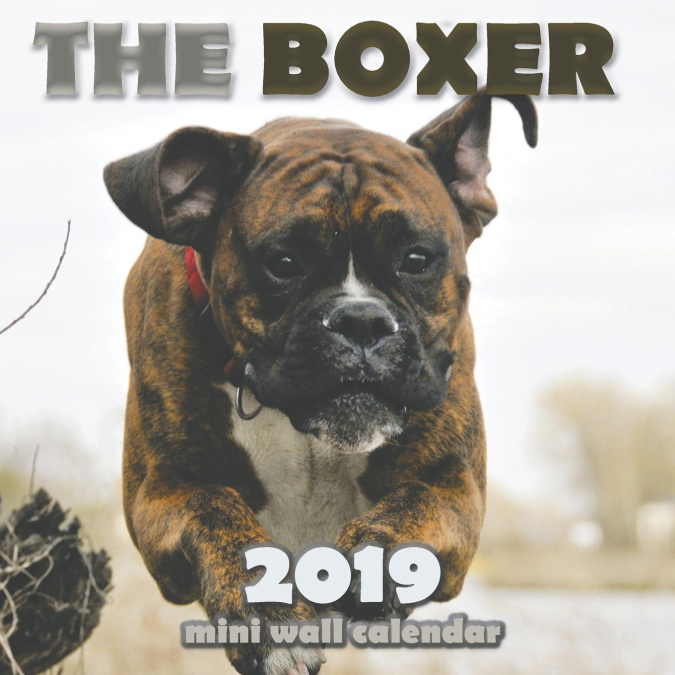 The Boxer 2019 Mini Wall Calendar