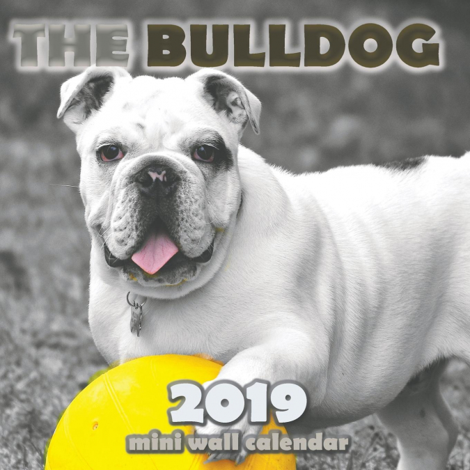The Bulldog 2019 Mini Wall Calendar