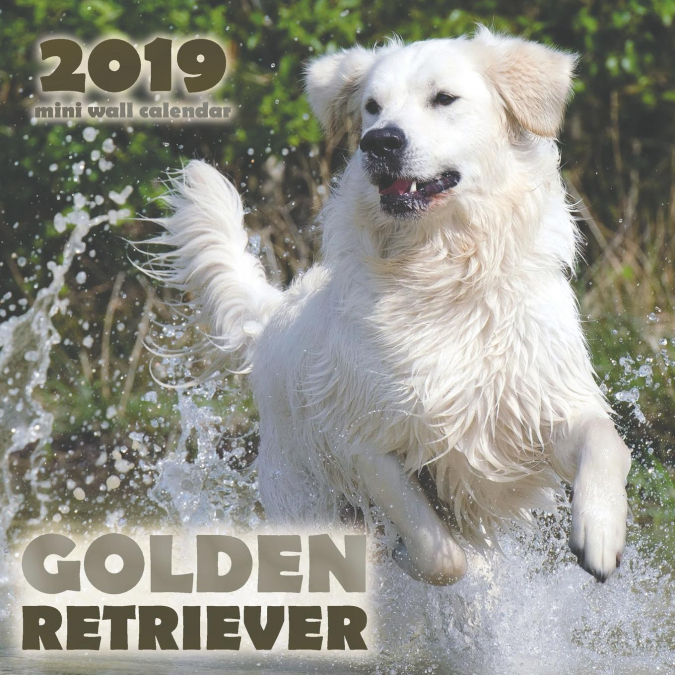 Golden Retriever 2019 Mini Wall Calendar