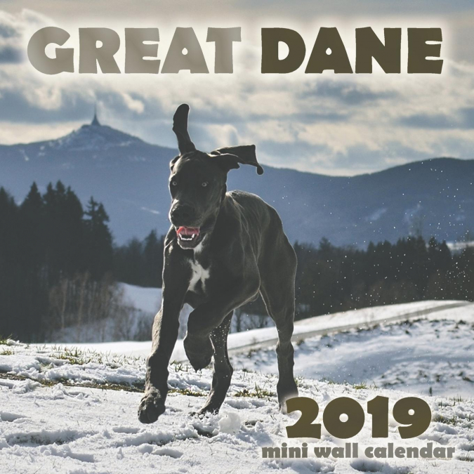 Great Dane 2019 Mini Wall Calendar