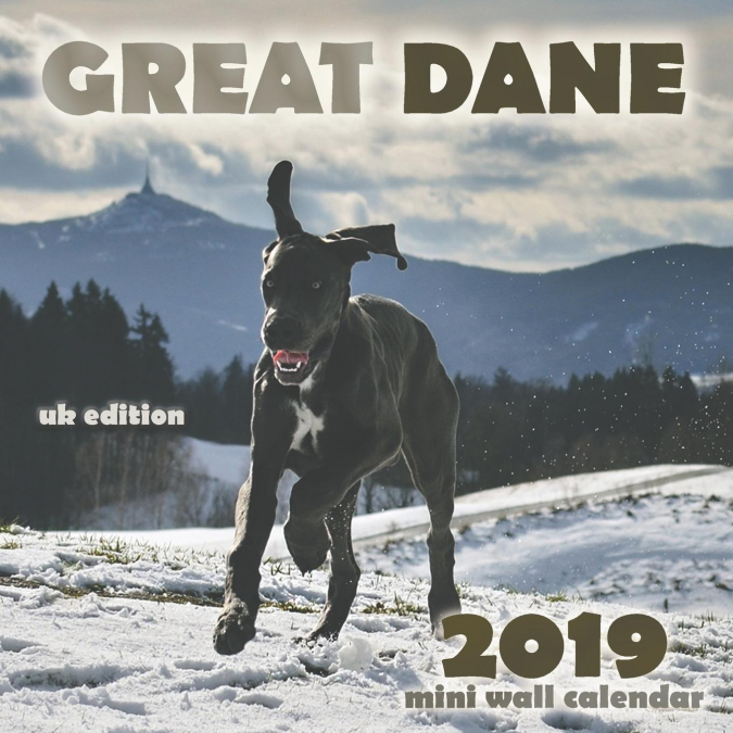 Great Dane 2019 Mini Wall Calendar (UK Edition)