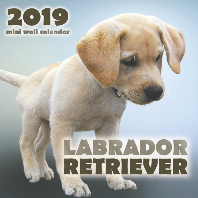 Labrador Retriever 2019 Mini Wall Calendar
