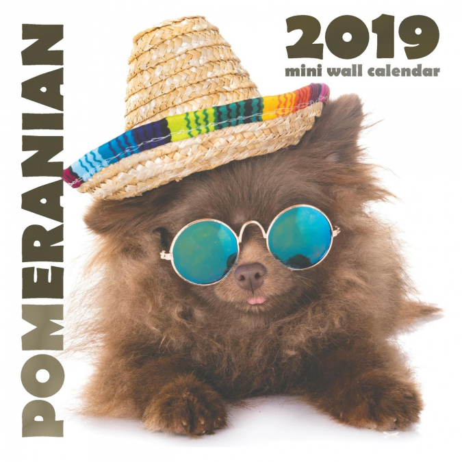 Pomeranian 2019 Mini Wall Calendar
