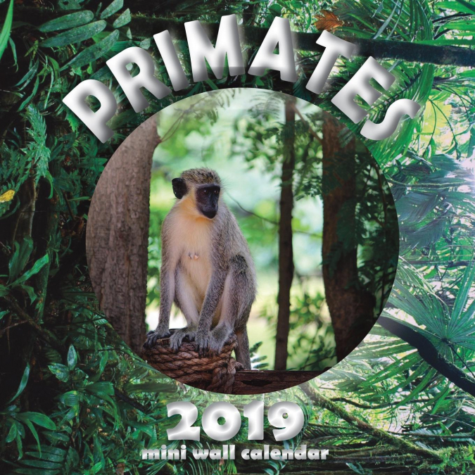 Primates 2019 Mini Wall Calendar