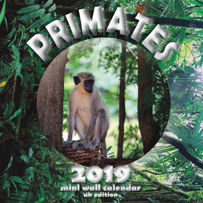 Primates 2019 Mini Wall Calendar (UK Edition)