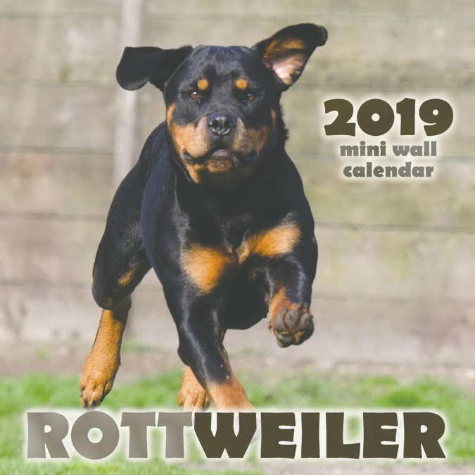Rottweiler 2019 Mini Wall Calendar
