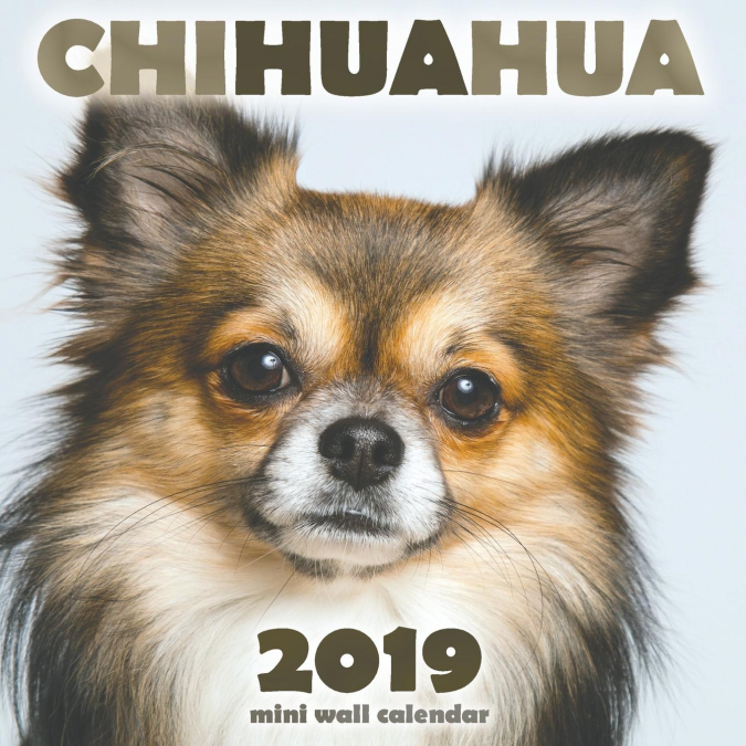 Chihuahua 2019 Mini Wall Calendar