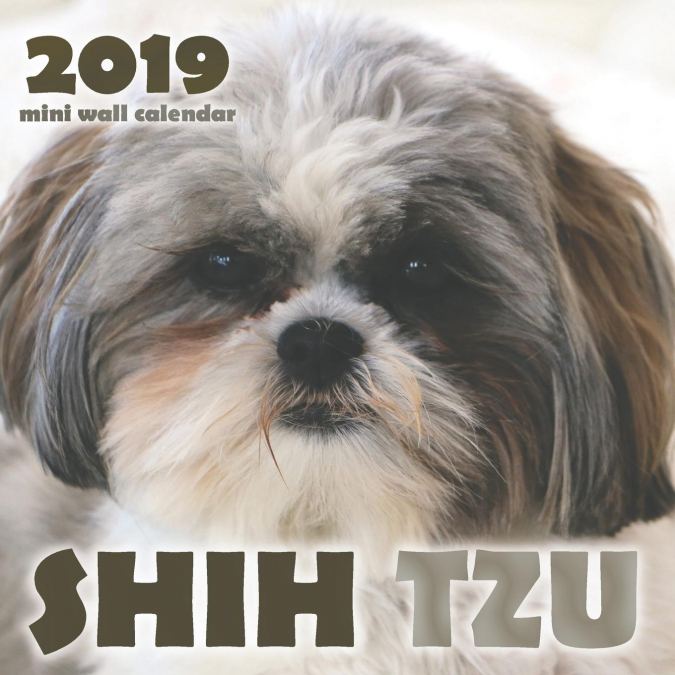 Shih Tzu 2019 Mini Wall Calendar