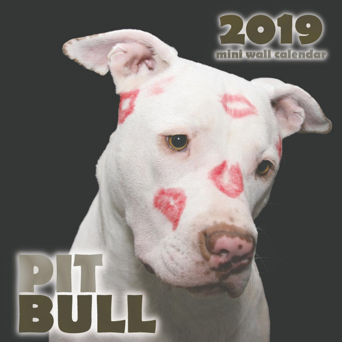 Pit Bull 2019 Mini Wall Calendar