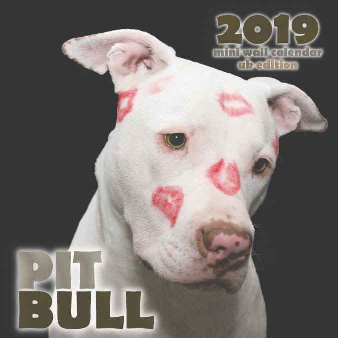 Pit Bull 2019 Mini Wall Calendar (UK Edition)