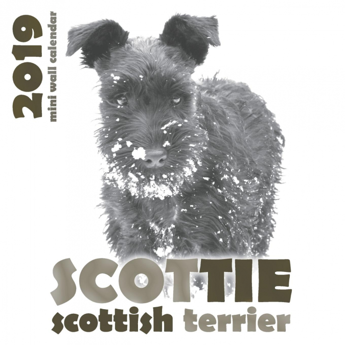 Scottie 2019 Mini Wall Calendar