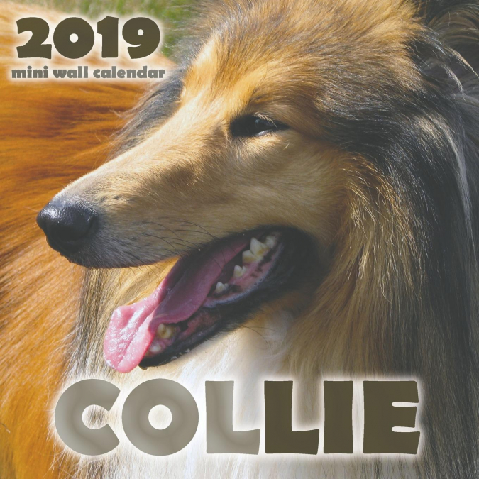 Collie 2019 Mini Wall Calendar