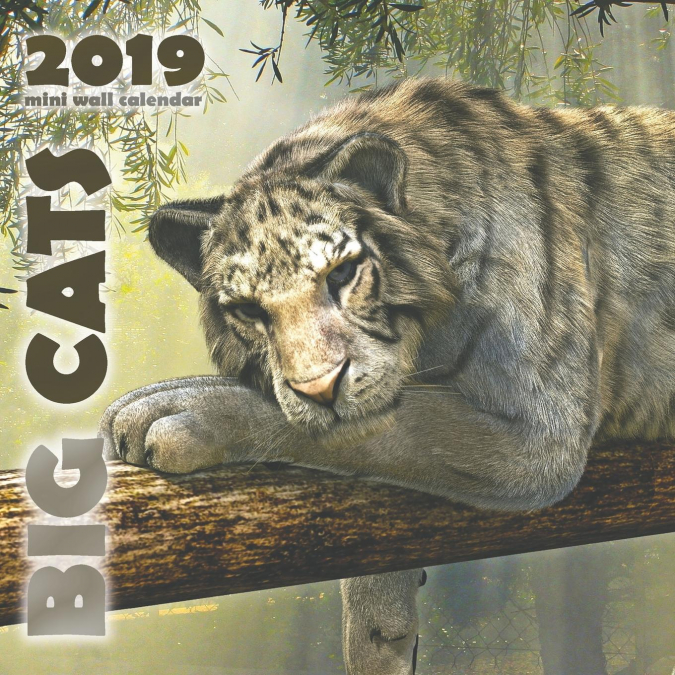 Big Cats 2019 Mini Wall Calendar