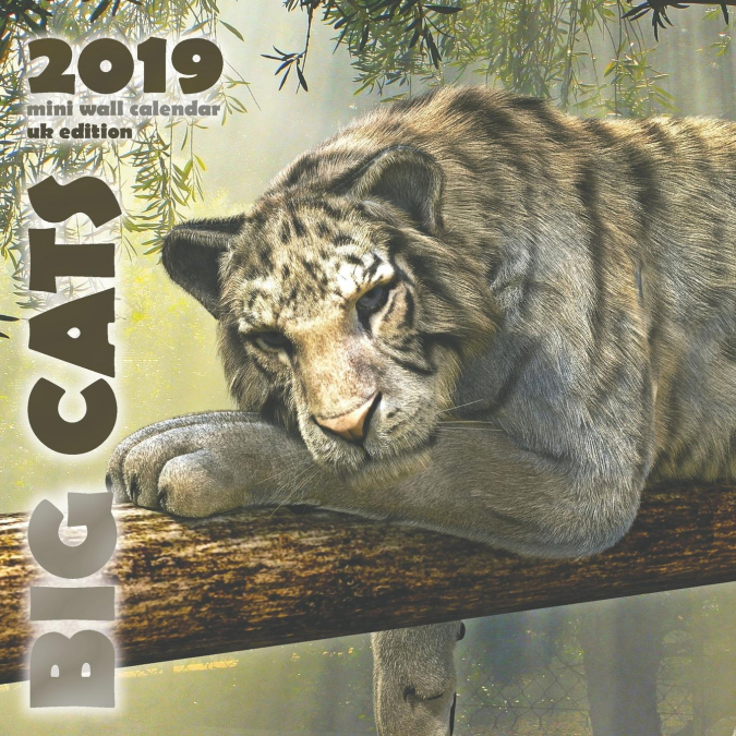 Big Cats 2019 Mini Wall Calendar (UK Edition)