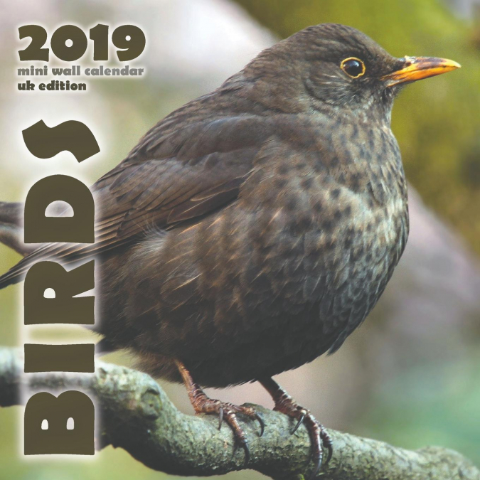 Birds 2019 Mini Wall Calendar (UK Edition)