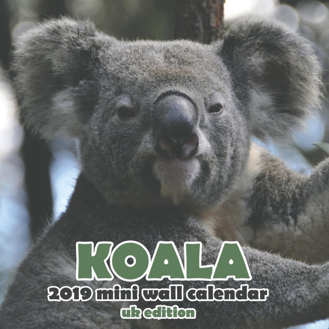 Koala 2019 Mini Wall Calendar (UK Edition)