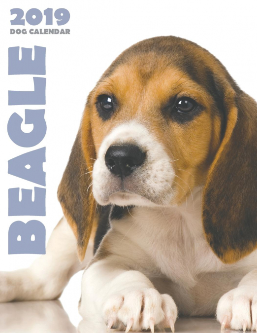 Beagle 2019 Dog Calendar