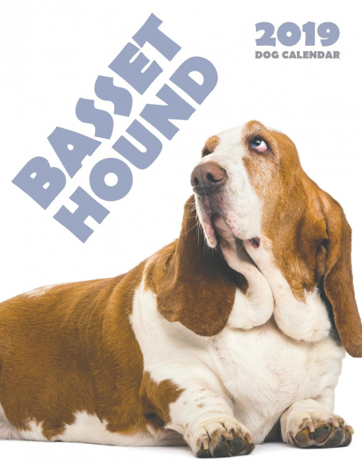 Basset Hound 2019 Calendar