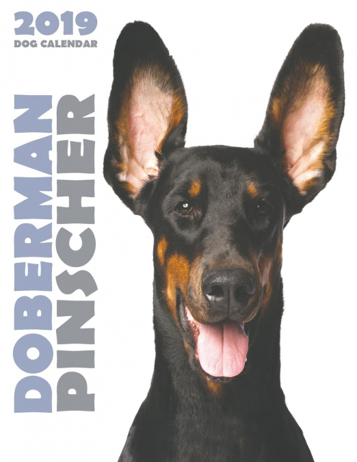 Doberman 2019 Dog Calendar