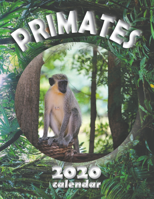 Primates 2020 Calendar