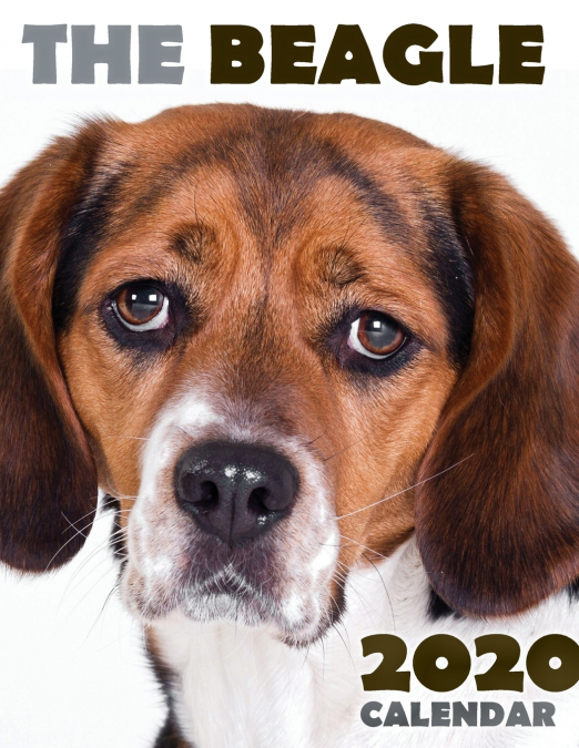 The Beagle 2020 Calendar