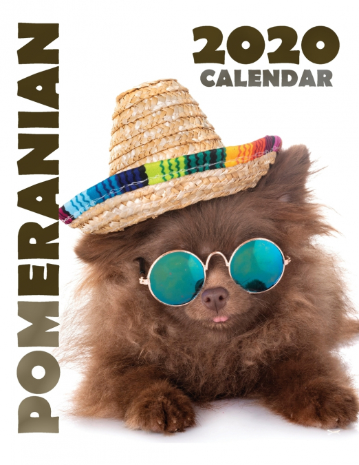 Pomeranian 2020 Calendar