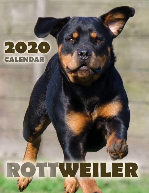 Rottweiler 2020 Calendar