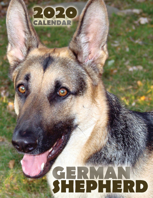 German Shepherd 2020 Calendar