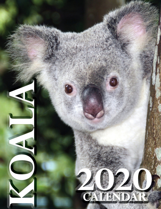 Koala 2020 Calendar