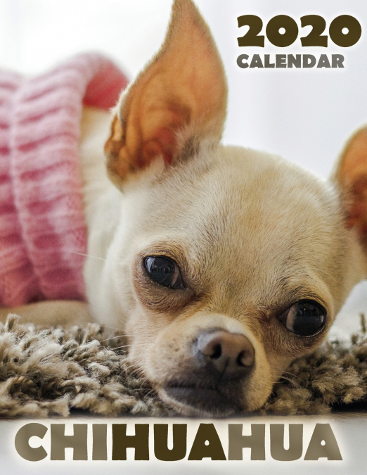 Chihuahua 2020 Calendar