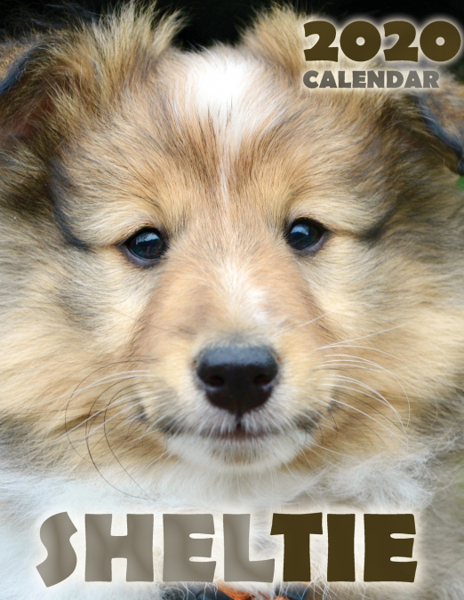 Sheltie 2020 Calendar