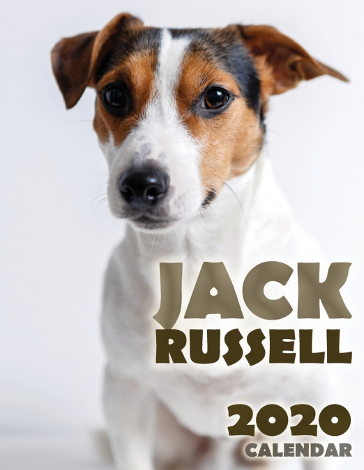 Jack Russell 2020 Calendar