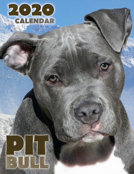 Pit Bull 2020 Calendar