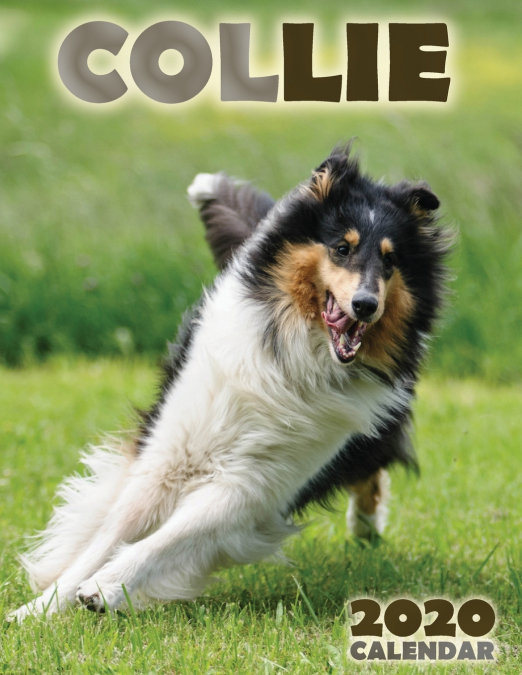 Collie 2020 Calendar