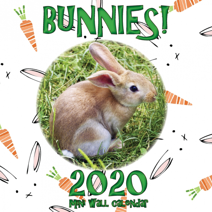 Bunnies! 2020 Mini Wall Calendar