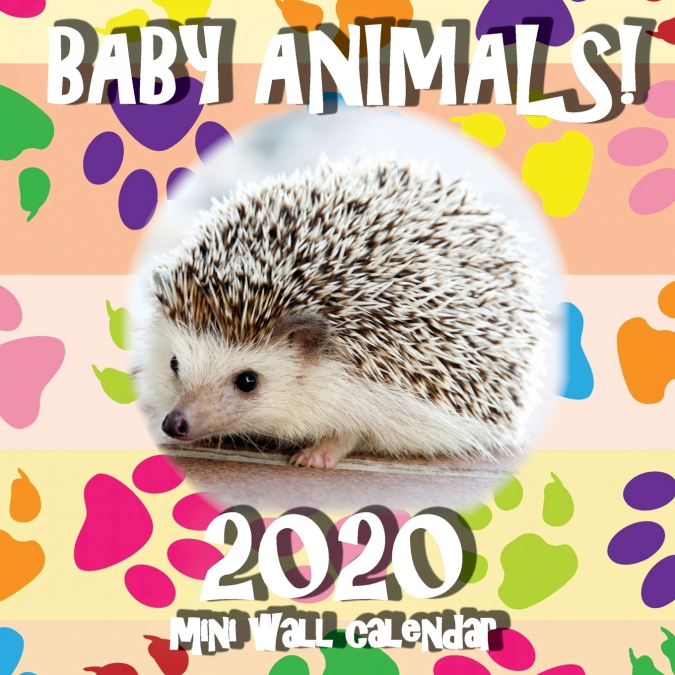 Baby Animals! 2020 Mini Wall Calendar