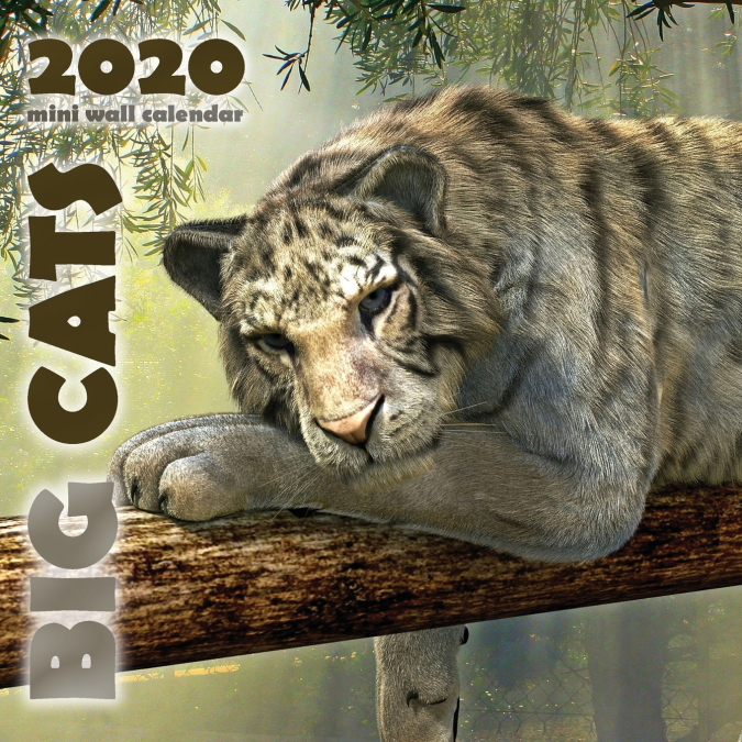 Big Cats 2020 Mini Wall Calendar