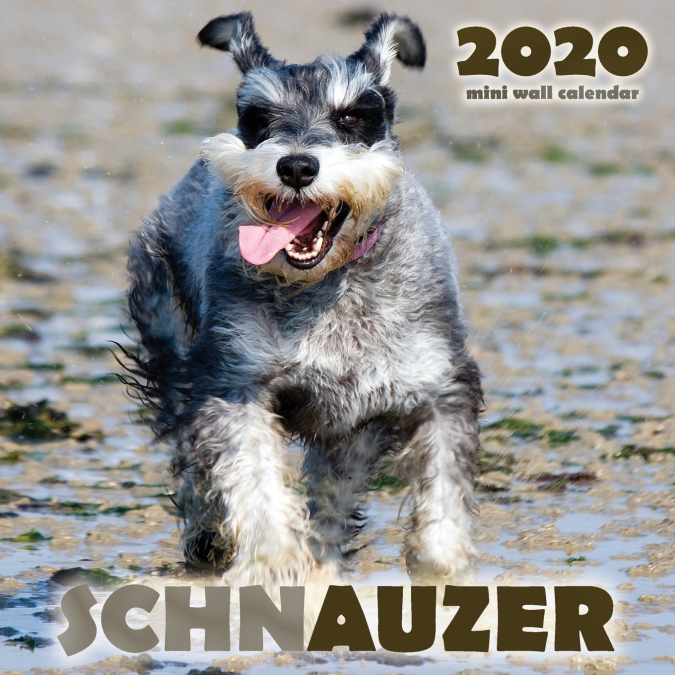 Schnauzer 2020 Mini Wall Calendar