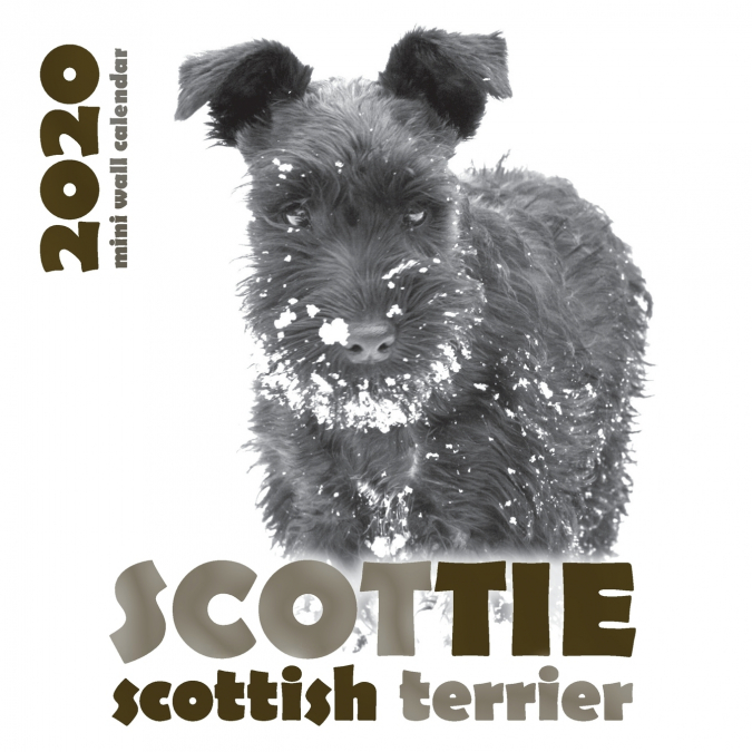 Scottie