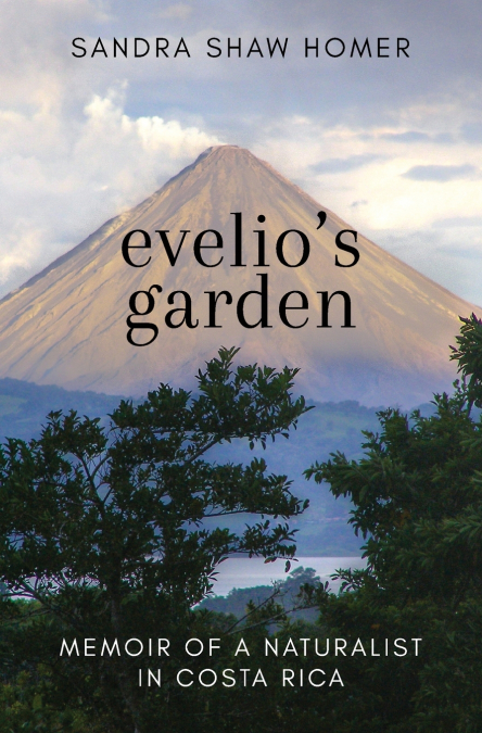 Evelio’s Garden