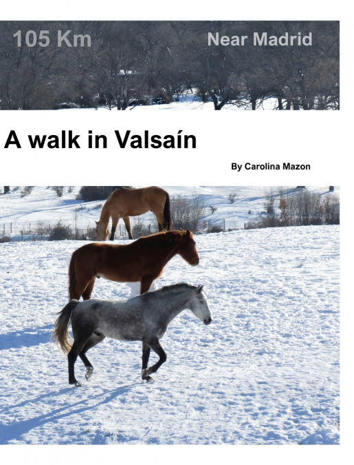 A walk in Valsaín