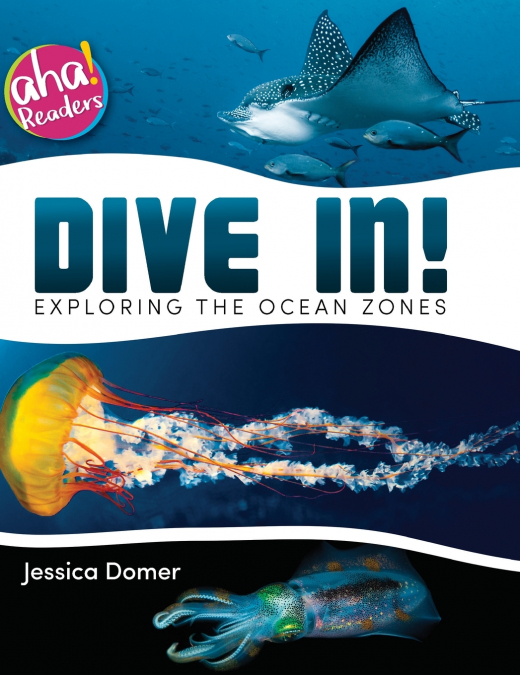 Dive In!