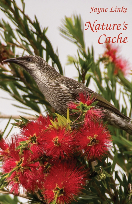 Nature’s Cache