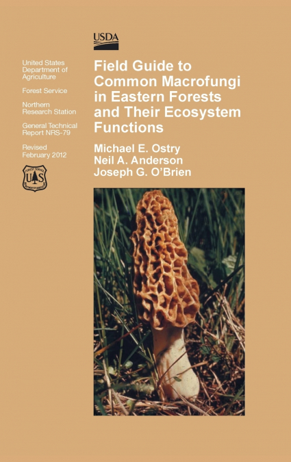 Field Guide to Common Macrofungi in Eastern Forests and Their Ecosystem Function